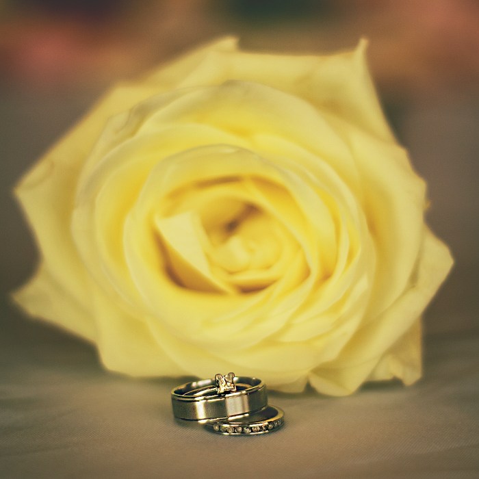 Dave-Ramos-Photo-David-Crystal-2432