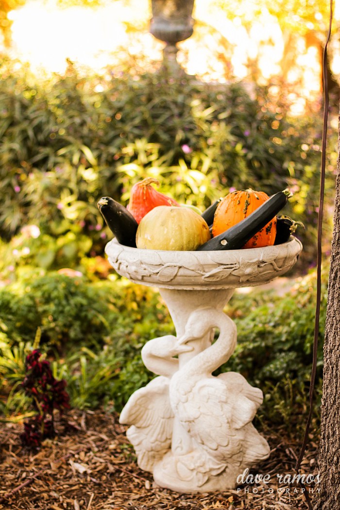 amarillo wedding photographer-john emily-1