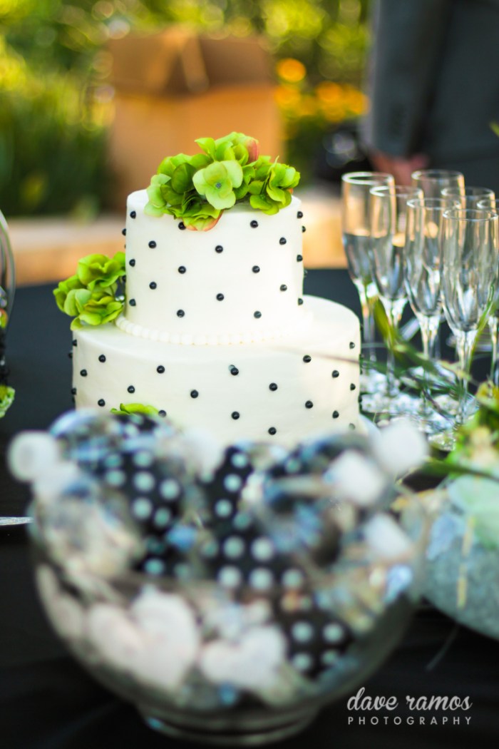 amarillo wedding photographer-john emily-39