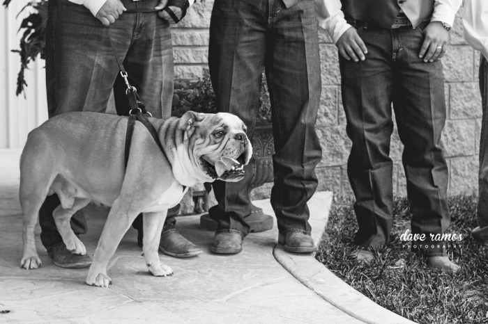 amarillo wedding photographers-dave ramos