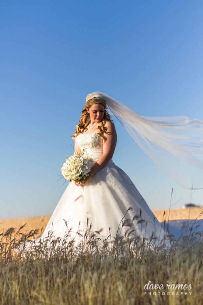 amarillo wedding photographer dave ramos photography