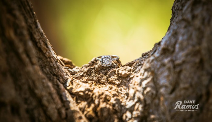 amarillo-photographer_dave-ramos-photography_