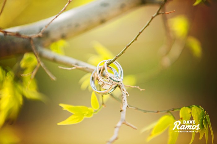 amarillo-photographer_Dave-Ramos--photography