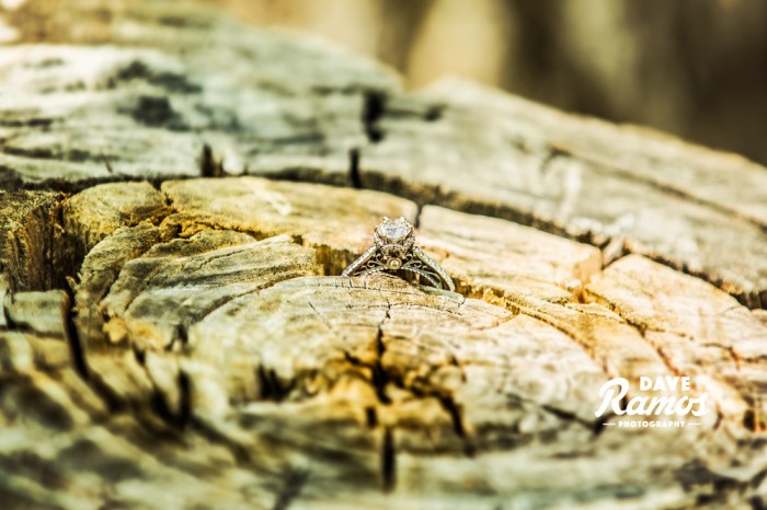 amarillo-photographer_dave-ramos-photography_