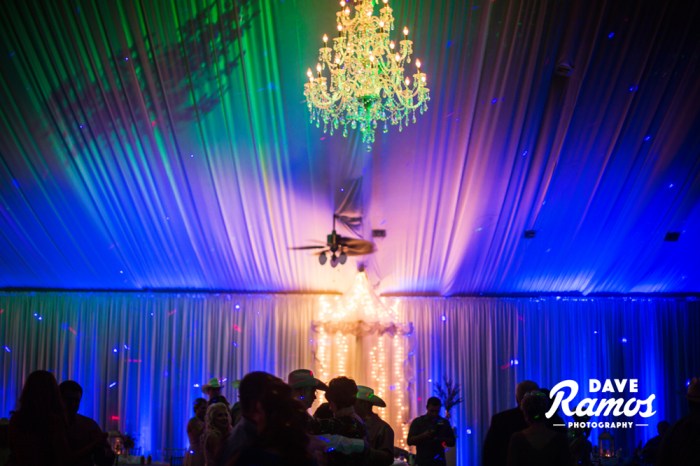 DRP_Allison-and-Steve-464