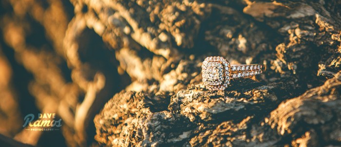 amarillo-photographer-dave-ramos-photography-melissa-2