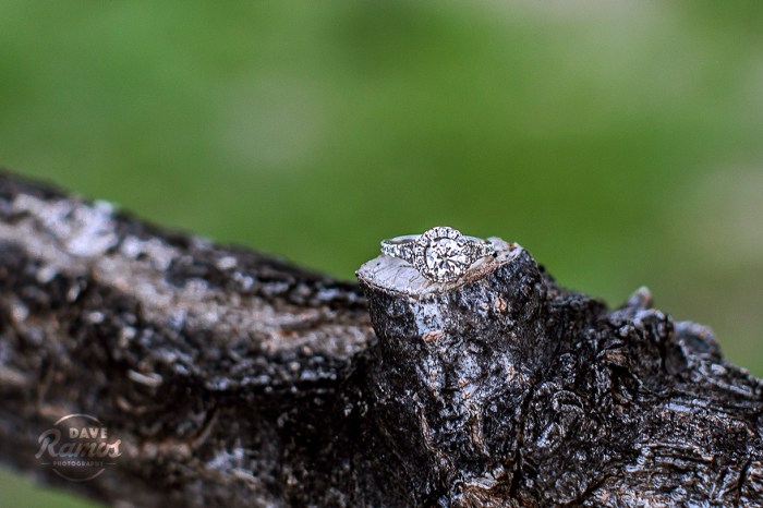 amarillo photographer dave ramos photography wedding engagement