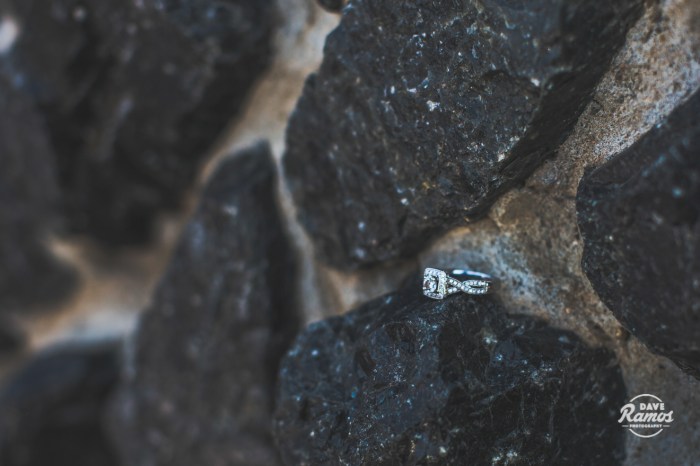 amarillo wedding photography dave ramos photography lexi steve-5