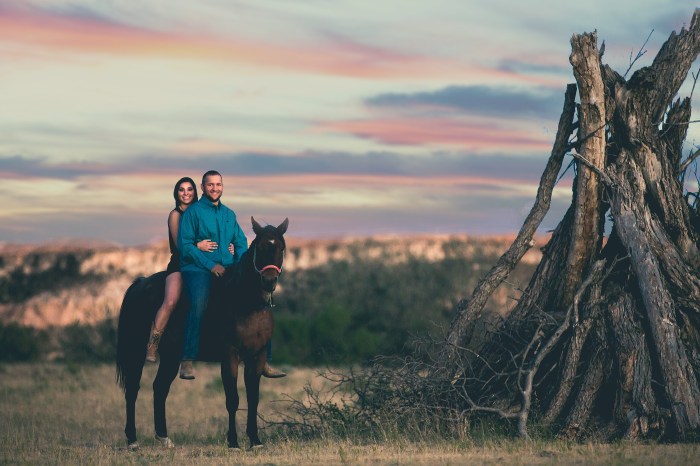 _web-version-coral-ben