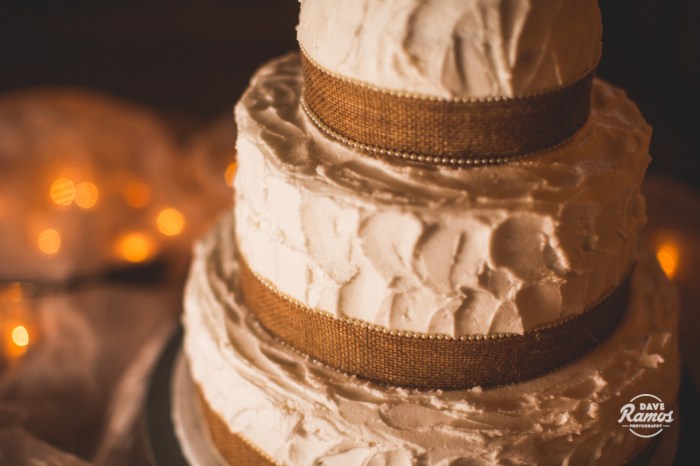 wedding photography fulford barn dave ramos photography lexi steve-100