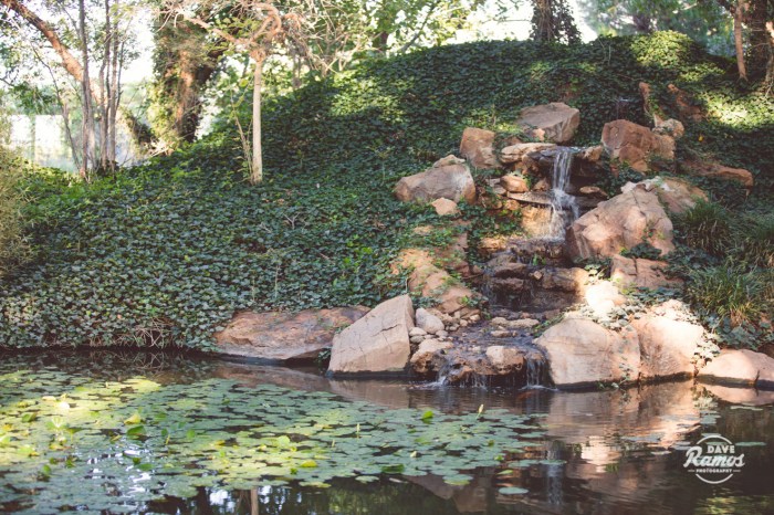 wedding photography fulford barn dave ramos photography lexi steve-41