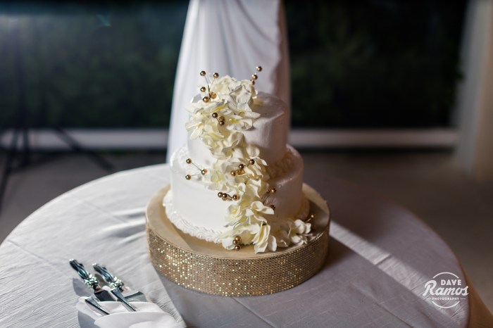 amarillo wedding photography_jenn kenny destination