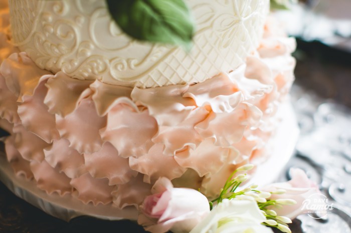 amarillo wedding photographer_dave ramos photography_haylee losson-94