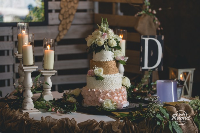 amarillo wedding photographer_dave ramos photography_haylee losson-95