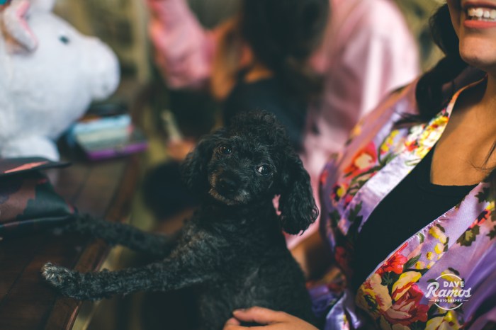 amarillo wedding photographer_dave ramos photography_in this moment-17