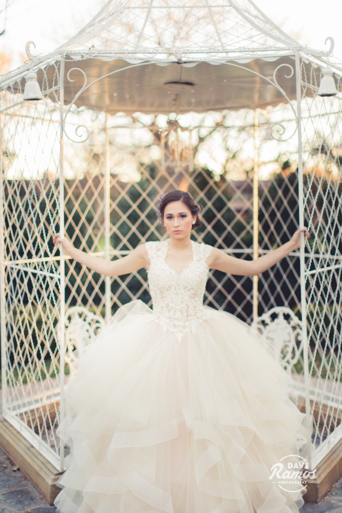 amarillo photographer dave ramos photography